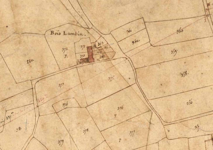 Écart, le Bois Lambin (Saint-Germain-sur-Ille)