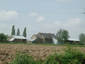 Ferme, la Haute Besnardière (Andouillé-Neuville)