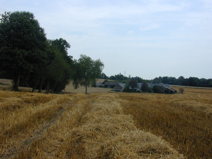 Manoir, le Heaulme (Visseiche)