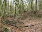 Site archéologique du Bois du Pinel (Argentré-du-Plessis)