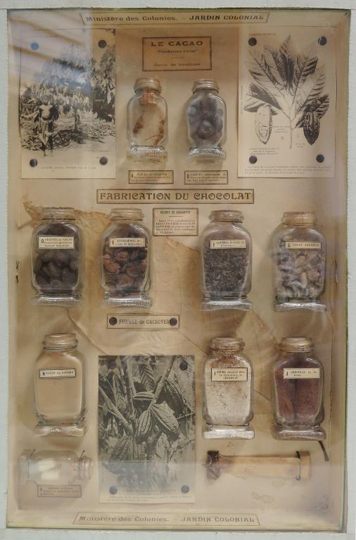 Collections pédagogiques du Lycée Chateaubriand, 136 Boulevard de Vitré (Rennes)