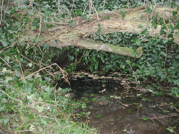 Fontaine Vauvert (Saint-Jacut-de-la-Mer)