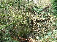 Ardoisière de Kermanach (Saint-Hernin)