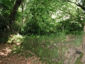 Lavoir dit routoir de Saint-Duzec (Trébeurden)