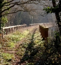 Pont de chemin de fer dit viaduc de Tosse-Montagne (Plérin-sur-Mer)