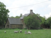 Ferme, la Hillée (Monterfil)