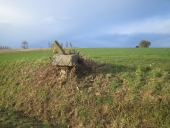 Croix de chemin, près de la Touche Pichard (Plesder)