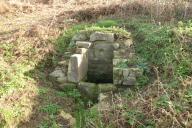 Fontaine de dévotion Saint-Guénolé (Plogoff)
