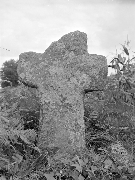 Croix de chemin Orient, la Gouraie (Guer)