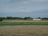 Ferme, la Grange (Lohéac)