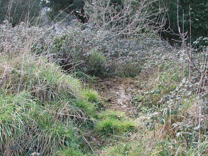 Abri n° 1, 13 Allée du Cosmeur, Pointe de Penn-al-Lann (Carantec)