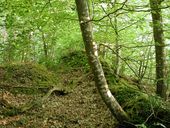 Chemin de ronde sur le rempart ouest, Castel-an-Trébez, Forêt de Lannigou (Taulé)