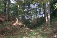 Les mottes sur la commune de La Bouëxière