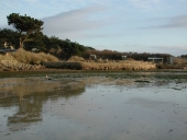 Paysage dit marais et presqu'île de Toëno (Trébeurden)