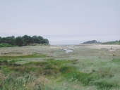 Marais de Kerlavos (Trégastel)