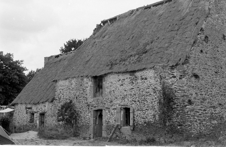 Alignement d'une maison et d'une ferme, la Ville Malherbe (Saint-Père-Marc-en-Poulet)