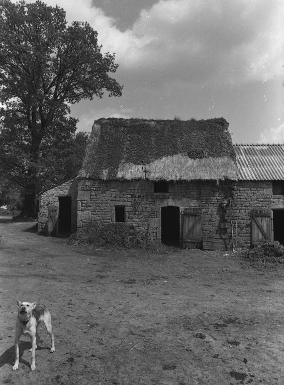 Ferme, Carmes (Saint-Tugdual)