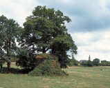 Colombier, le Pont (Renac)