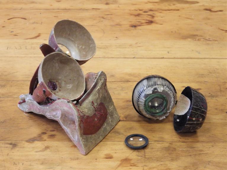 Présentation de la collection d'objets de sciences naturelles du lycée Émile Zola, Avenue Jean Janvier (Rennes)