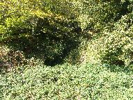 Ardoisière du Ster (Cléden-Poher)