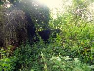 Ardoisière de Pont Tohou (Plévin)