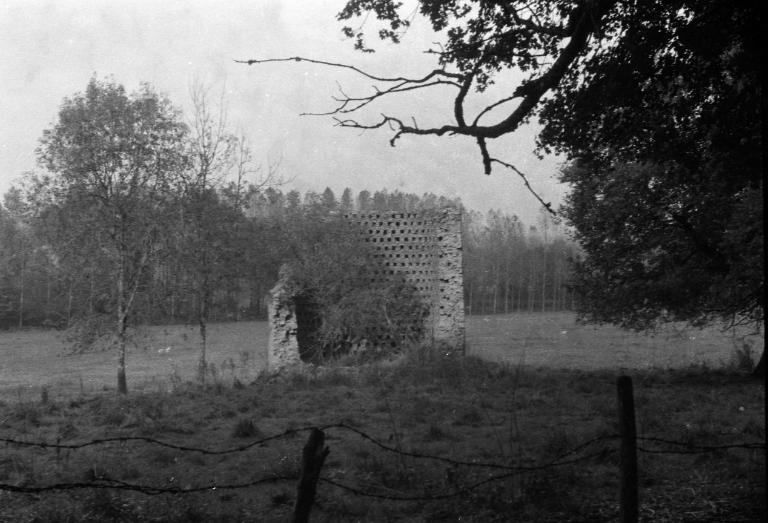 Château, le Plessis (La Couyère)
