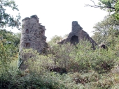 Ancien manoir, Rohignac (Sainte-Marie)