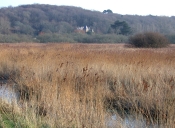 Manoir de Trovern, Trovern-Bras (Trébeurden)