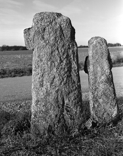 Croix de chemin, la Croix Gommer (La Chapelle-Bouëxic)