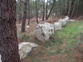 Alignement mégalithique dit de Ty Ar C'huré, Montourgard (Crozon)