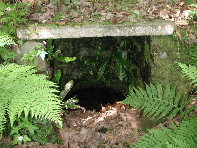 Fontaine de Nendivern, l'Armor (Trébeurden)