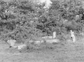 Croix de Chemin, la Haie Louis (Cléden-Poher)