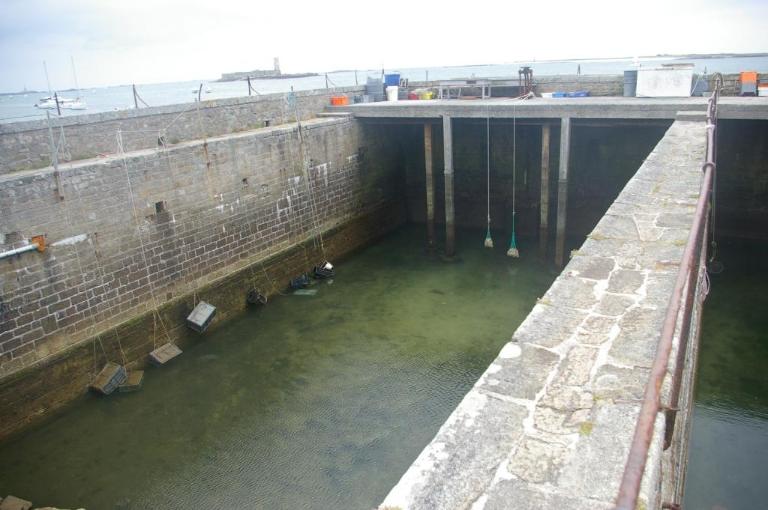 Vivier (Archipel des Glénan)