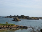 Écart : Lavrec (île de Bréhat)