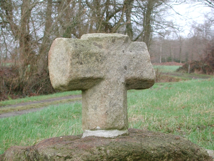 Croix de chemin, les Remardières (Saint-Pierre-de-Plesguen fusionnée en Mesnil-Roc'h en 2019)