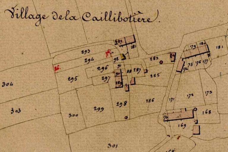 Ecart, la Caillibotière (Guipel)