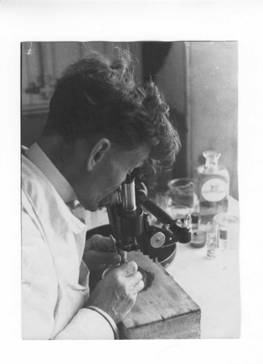 Iconothèque 3 (Charles Pérez)