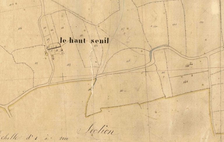 Ferme, Senil (Domloup)