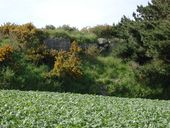 Abri n° 2, Cougn ar Zac'h, Anse du Pouldu (Santec)