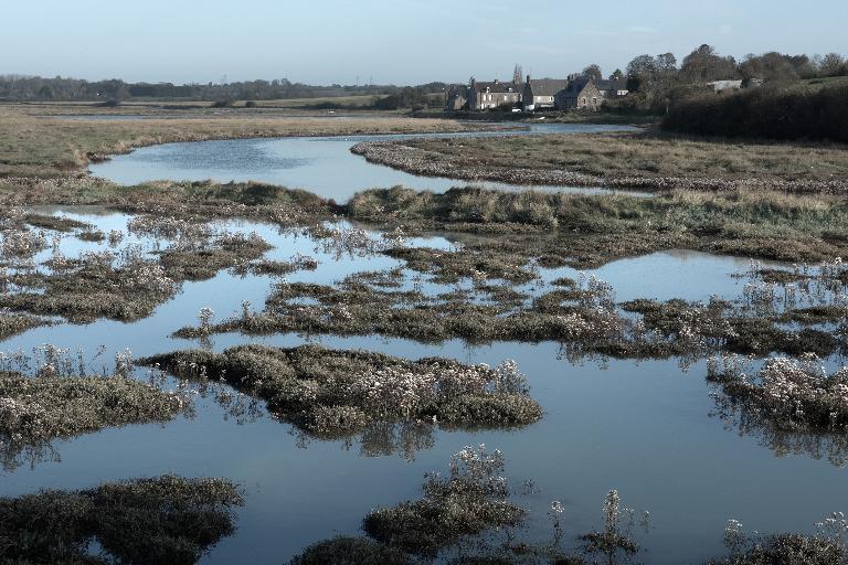 Ecart, les Bas Champs, la Coquenais dit havre des Bas Champs (Pleudihen-sur-Rance)