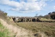 Pont de chemin de fer du Marais (Plurien)