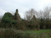 Ferme ruinée, le Bois Rond (Nouvoitou)