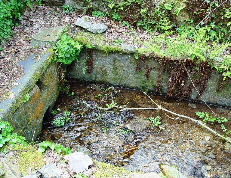 Kanndi de Milinic (Tréflévénez)