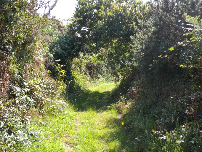 Les sentiers (Kerbors)