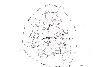 Les maisons et les fermes non analysées sur la commune de La Baussaine