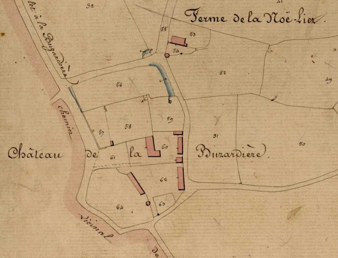 Manoir, la Buzardière (Saint-Domineuc)