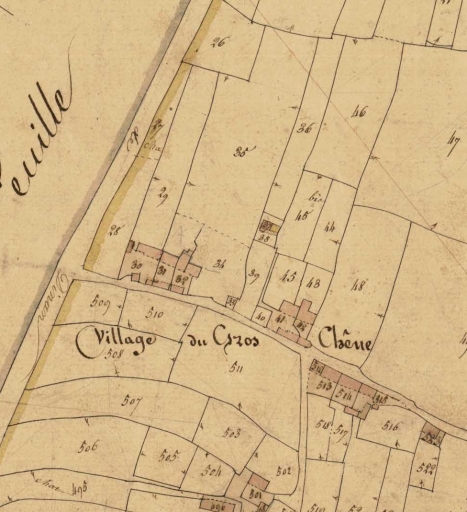 Écart, le Gros Chêne (Longaulnay)