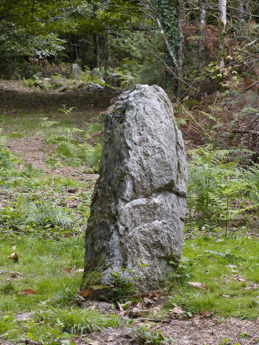 Menhir, dit du Courtil aux Fées, Beaumont (Saint-Laurent-sur-Oust)