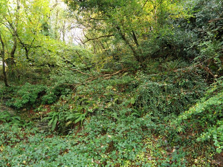 Ardoisière de Kergueffiat (Gouézec)