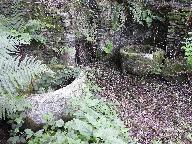 Kanndi de Kernaman (Commana)